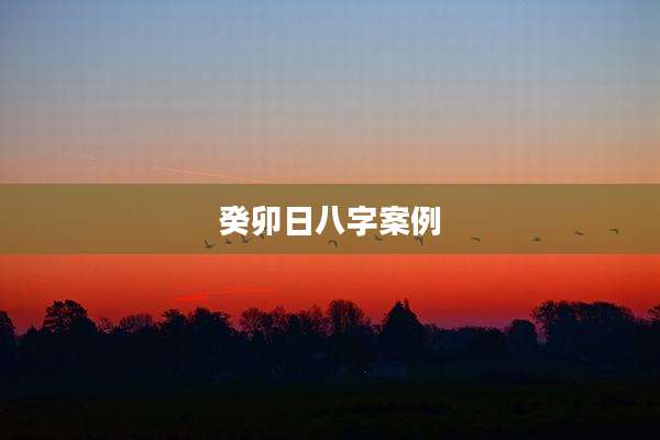 癸卯日八字案例