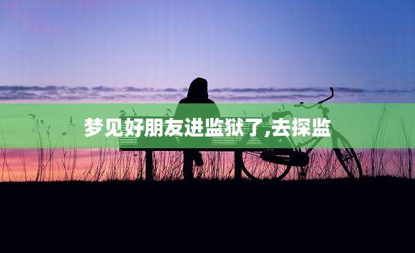 梦见好朋友进监狱了,去探监