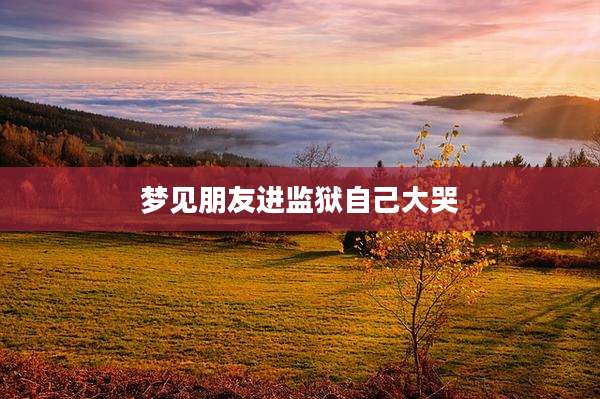 梦见朋友进监狱自己大哭