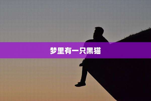 梦里有一只黑猫