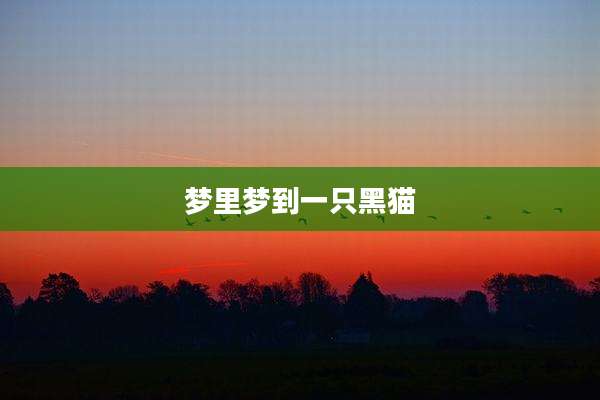 梦里梦到一只黑猫