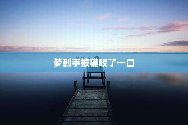 梦到手被猫咬了一口