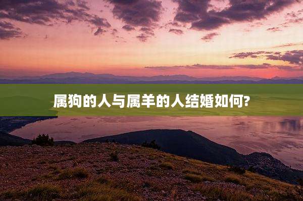 属狗的人与属羊的人结婚如何?