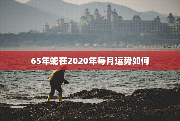65年蛇在2020年每月运势如何