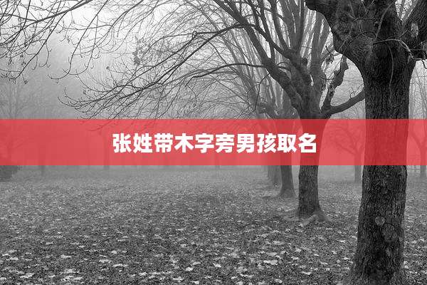 张姓带木字旁男孩取名