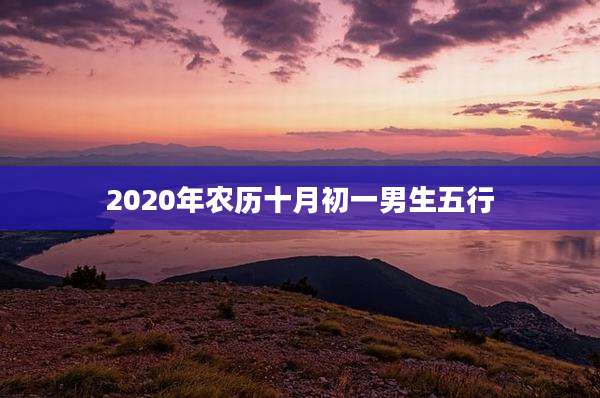 2020年农历十月初一男生五行