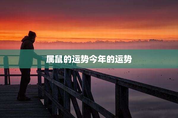 属鼠的运势今年的运势
