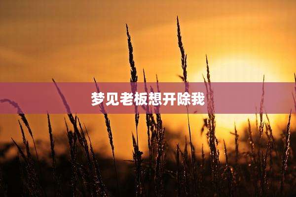 梦见老板想开除我