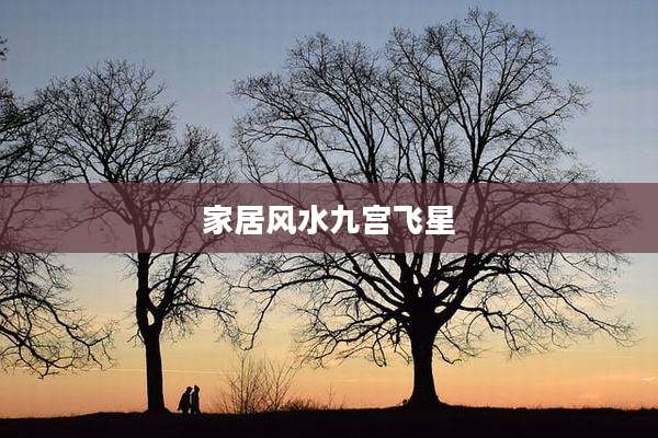 家居风水九宫飞星