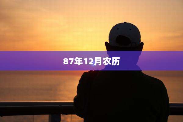 87年12月农历