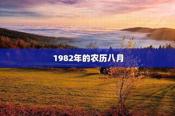 1982年的农历八月