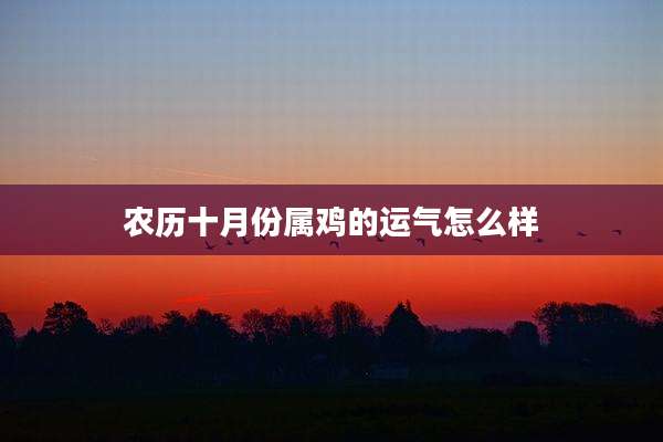 农历十月份属鸡的运气怎么样