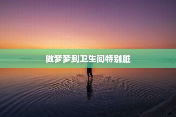 做梦梦到卫生间特别脏