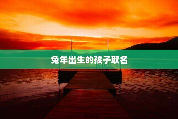 兔年出生的孩子取名