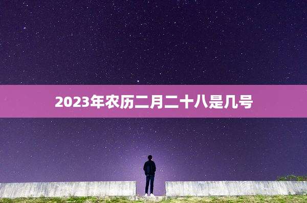 2023年农历二月二十八是几号