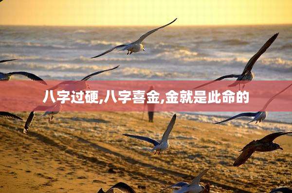 八字过硬,八字喜金,金就是此命的