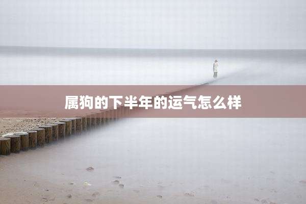 属狗的下半年的运气怎么样