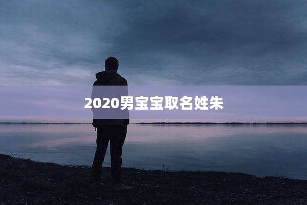 2020男宝宝取名姓朱