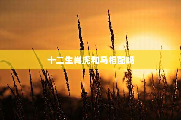 十二生肖虎和马相配吗