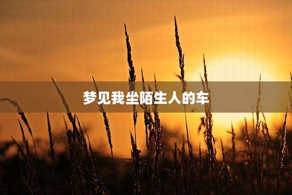 梦见我坐陌生人的车