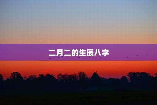 二月二的生辰八字
