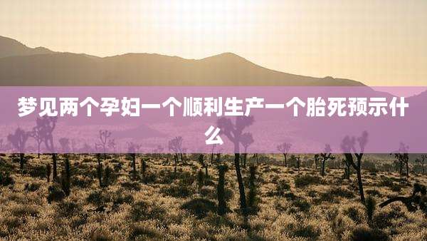 梦见两个孕妇一个顺利生产一个胎死预示什么