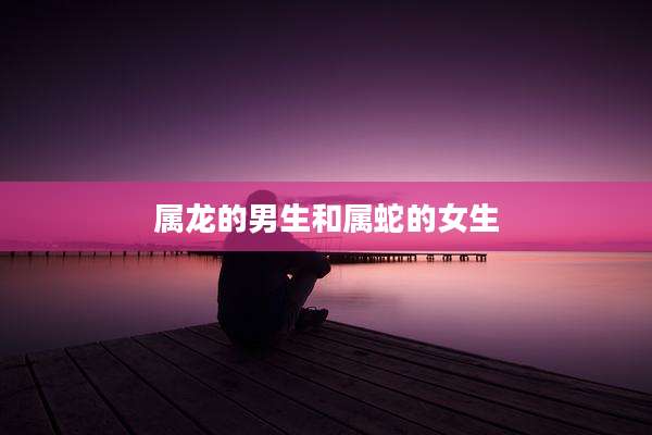 属龙的男生和属蛇的女生