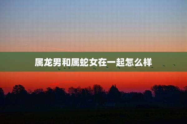 属龙男和属蛇女在一起怎么样