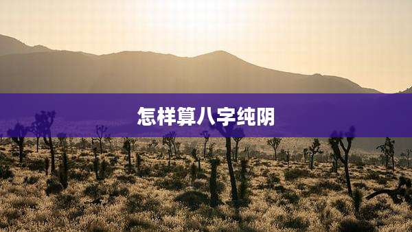 怎样算八字纯阴