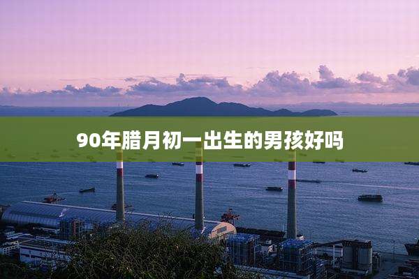 90年腊月初一出生的男孩好吗