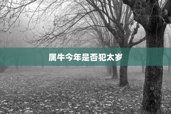 属牛今年是否犯太岁