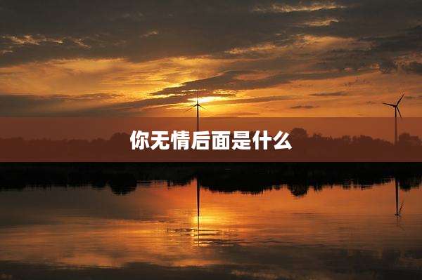你无情后面是什么