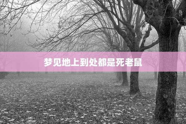 梦见地上到处都是死老鼠
