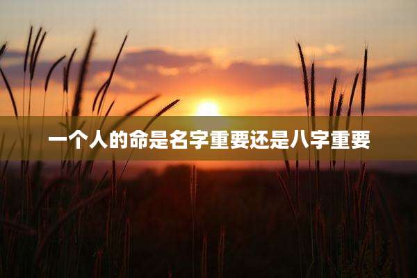 一个人的命是名字重要还是八字重要