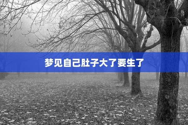 梦见自己肚子大了要生了