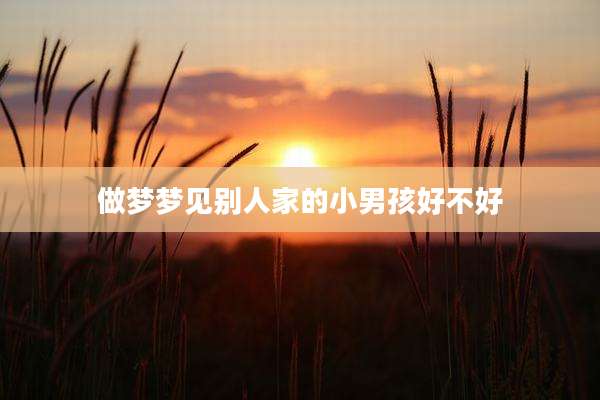 做梦梦见别人家的小男孩好不好