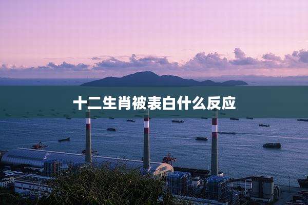 十二生肖被表白什么反应