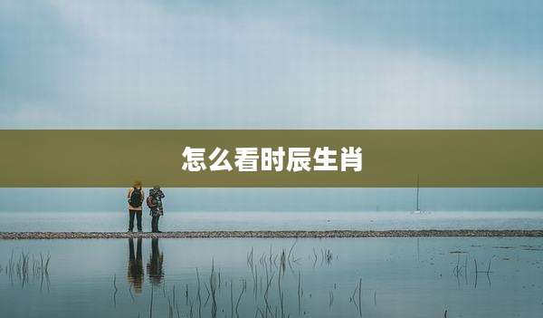 怎么看时辰生肖