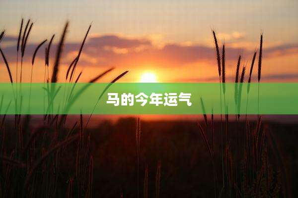 马的今年运气