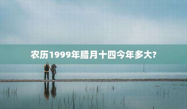 农历1999年腊月十四今年多大?