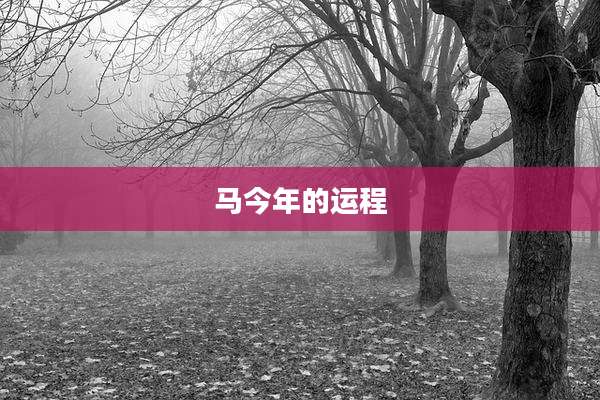 马今年的运程