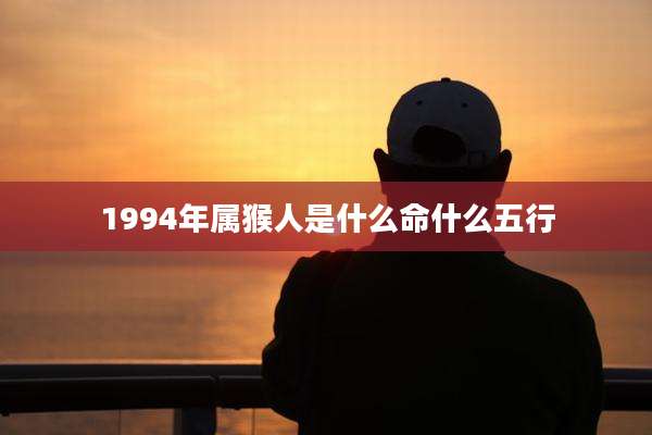 1994年属猴人是什么命什么五行