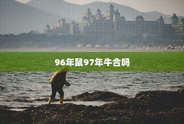 96年鼠97年牛合吗