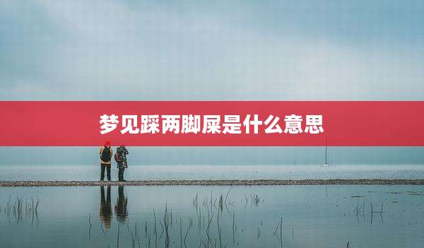 梦见踩两脚屎是什么意思