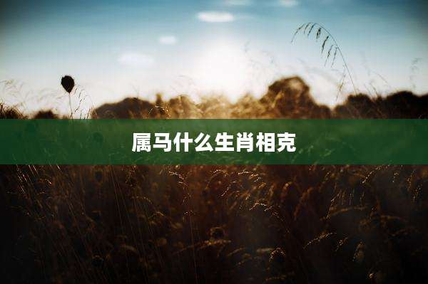 属马什么生肖相克