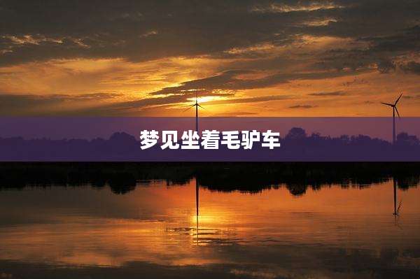 梦见坐着毛驴车