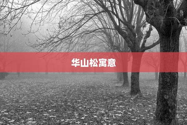 华山松寓意