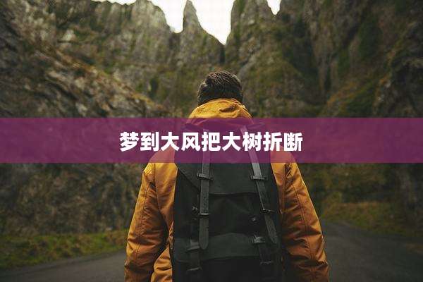 梦到大风把大树折断