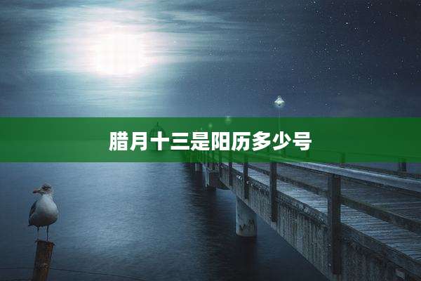 腊月十三是阳历多少号