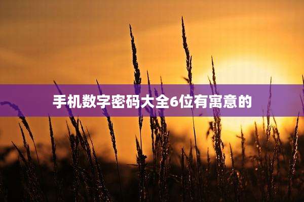 手机数字密码大全6位有寓意的